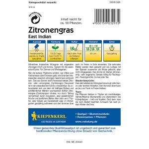 Kiepenkerl Zitronengras East Indian Saatgutpackung, Kräutersamen für aromatische Küche.