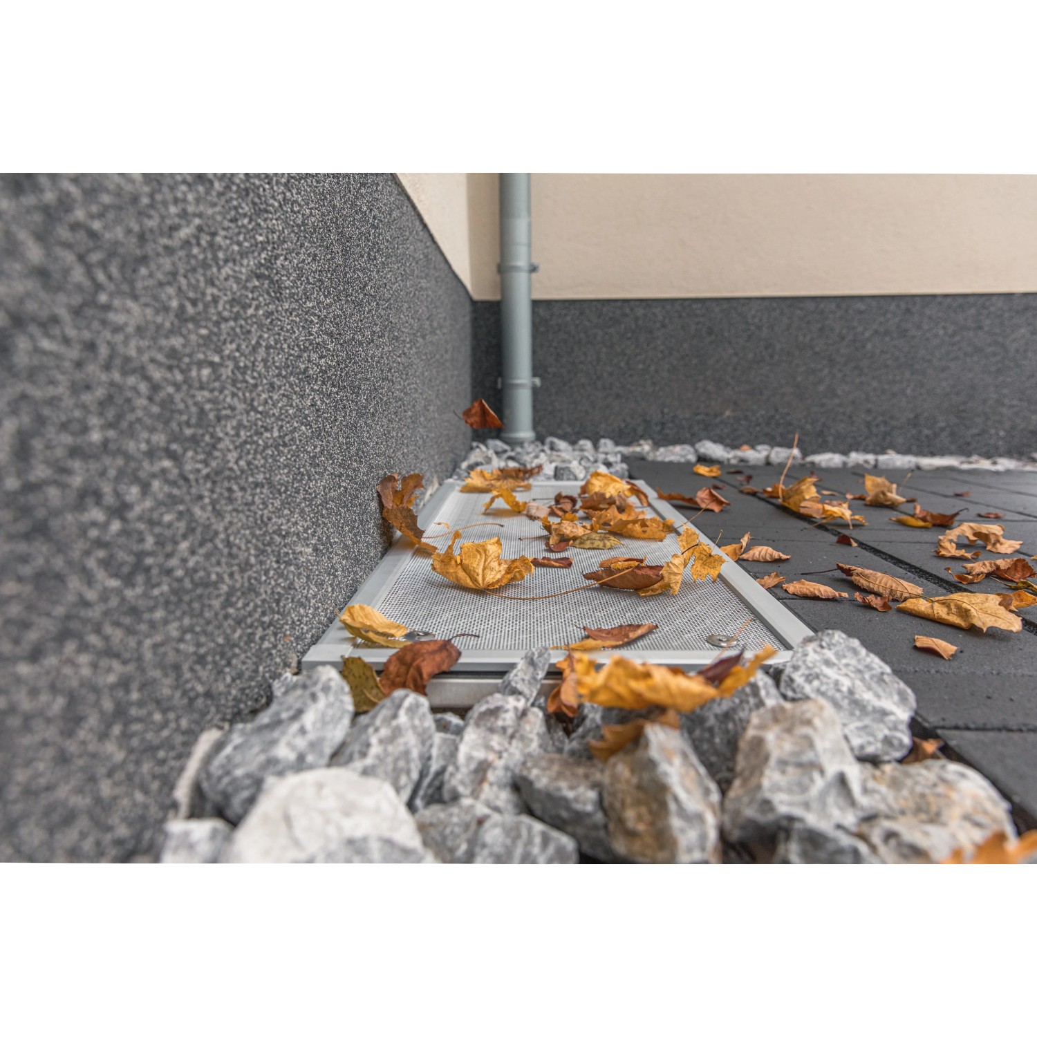 Schellenberg Lichtschachtabdeckung 55x110cm aus Aluminium mit Laub auf Gitter.