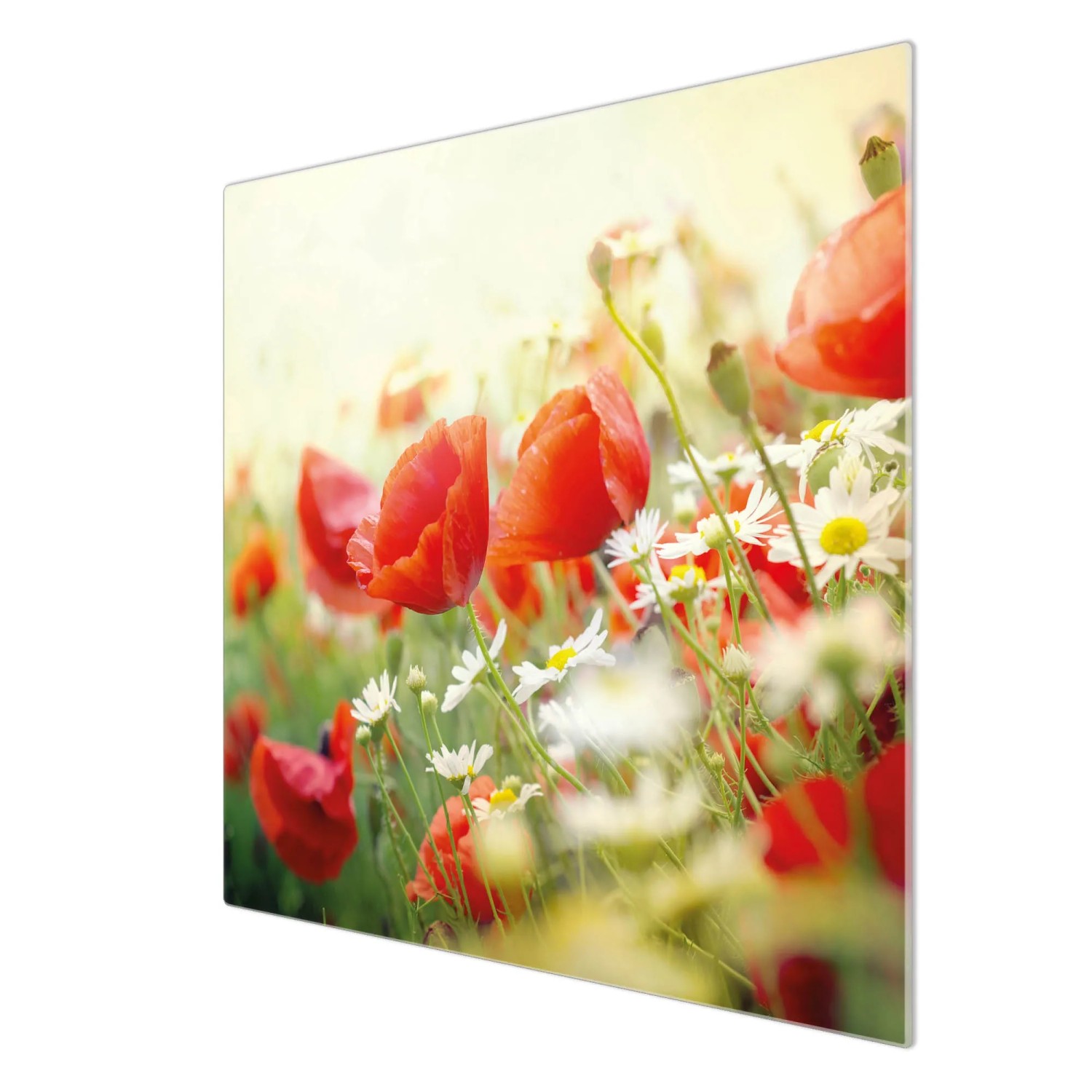 Banjado Herdabdeckplatte aus Glas mit Kamille- und Mohn-Motiv, 60x52 cm.