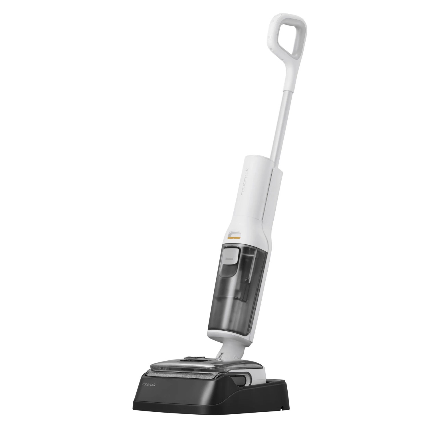 Roborock F25 RT