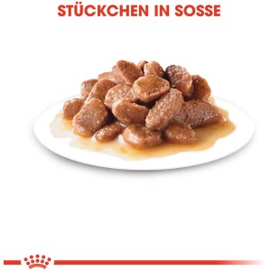 Royal Canin Sterilised Katzen-Nassfutter in Soße, Stücke auf einem Teller.