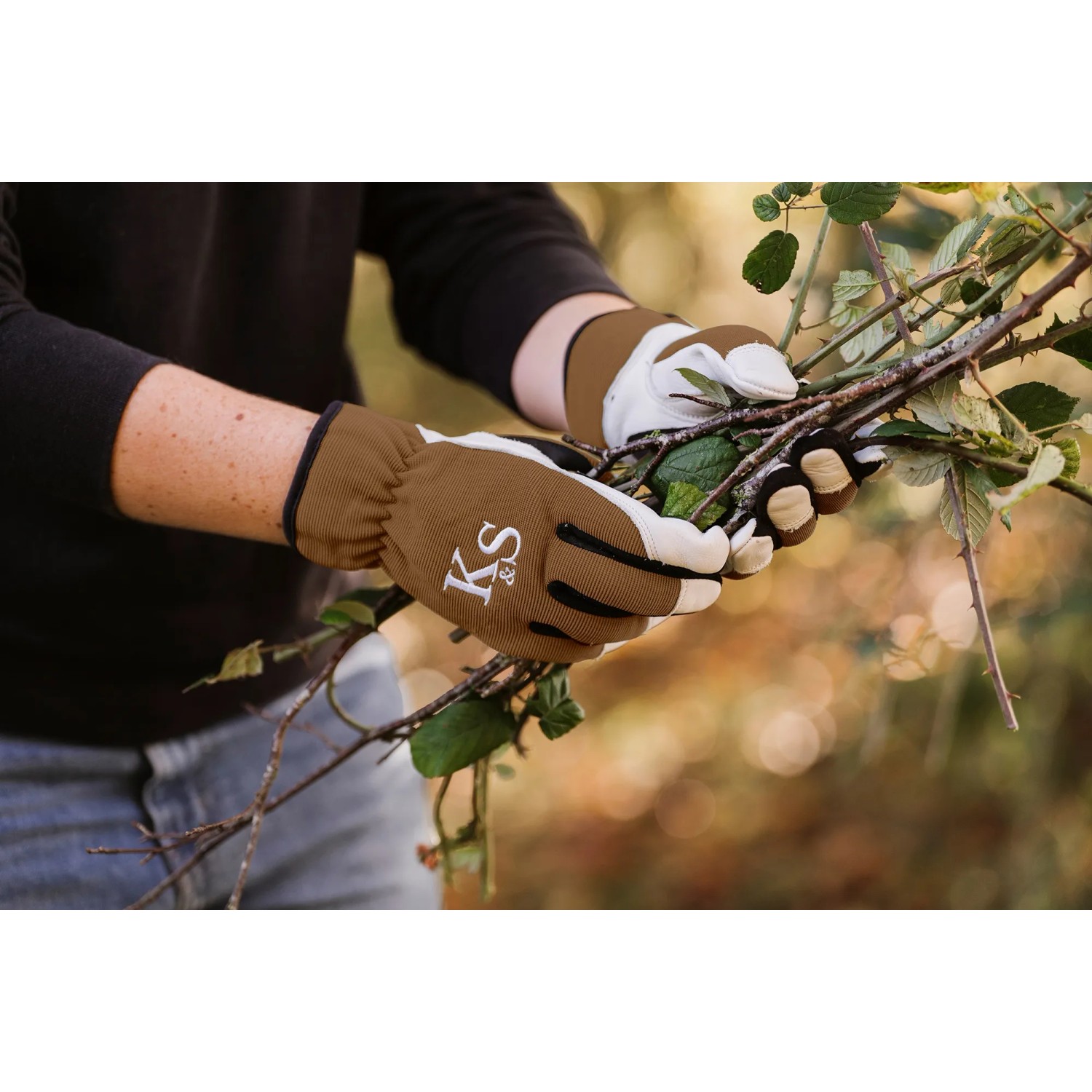 Kent & Stowe Gartenhandschuhe Sure & Fit, braun-weiß, Größe M beim Schneiden von Ästen.