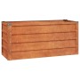 DELUKE Hochbeet aus Cortenstahl, offene Unterseite, 100x40x45cm. Ideal als Pflanzenbeet oder Gemüsebeet.