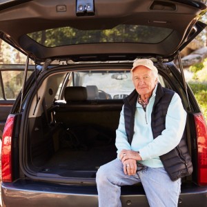 Schwarzes Relaxdays Auto Trennnetz für Hunde im Kofferraum eines Autos.
