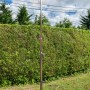 Gre Gartendusche aus Edelstahl mit Fuß-Wasserhahn, Höhe ca. 216 cm.