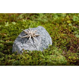 Dekorative Edelweiß Figur auf Schwarzwaldgranit Stein, Gartendeko.