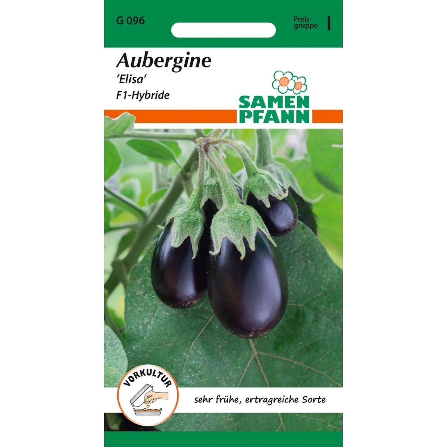 SAMEN PFANN Aubergine Elisa