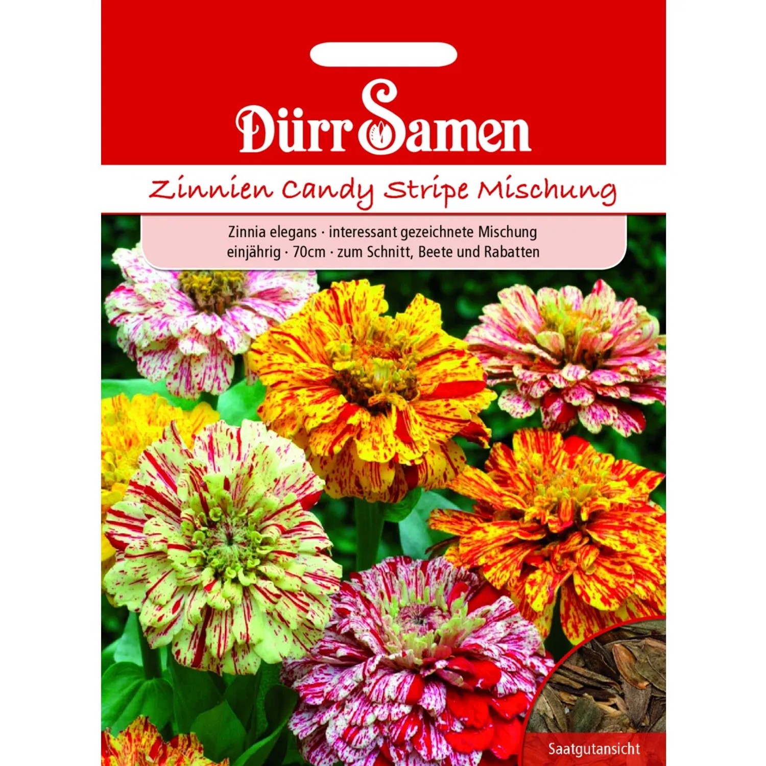Dürr Samen Zinnie Candy Stripe Mix Einjährig Saatgut