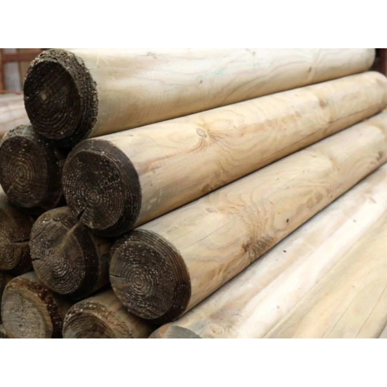 Woodtex Palisade Kiefer KDI 80 mm Stark 8 cm Breit 300 cm Lang Inhalt 1