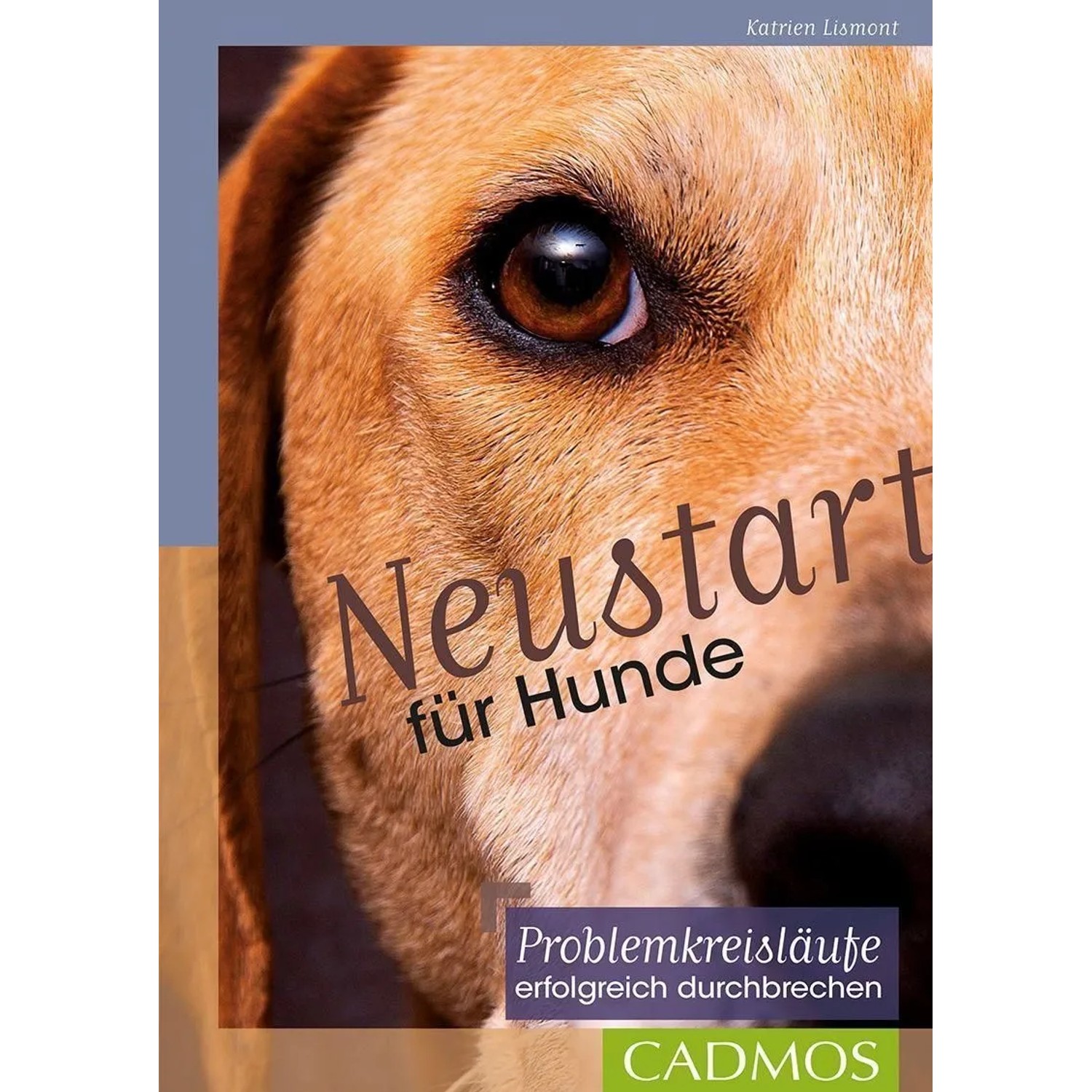 Neustart für Hunde