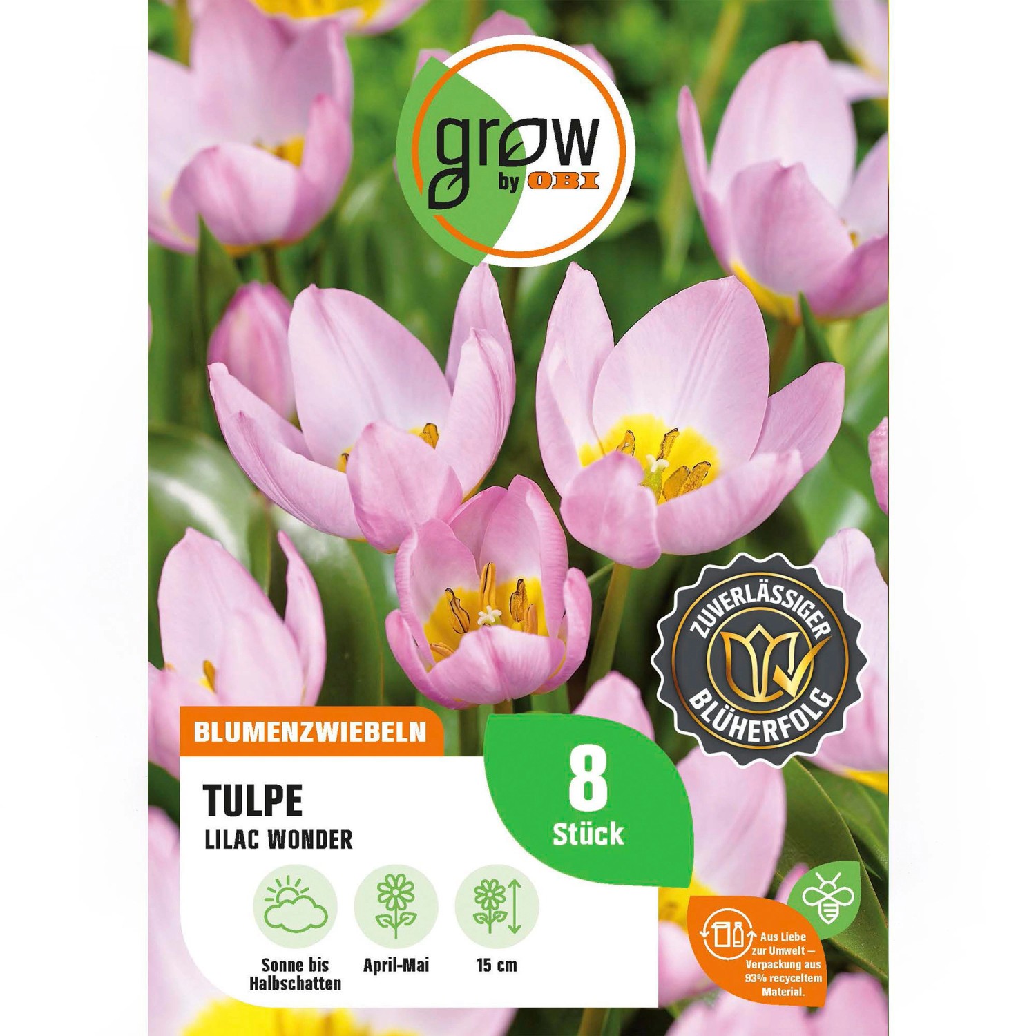 GROW by OBI Tulpe Lilac Wonder Rosa 8 Stück Tulipa bakeri Lilac Wonder günstig online kaufen
