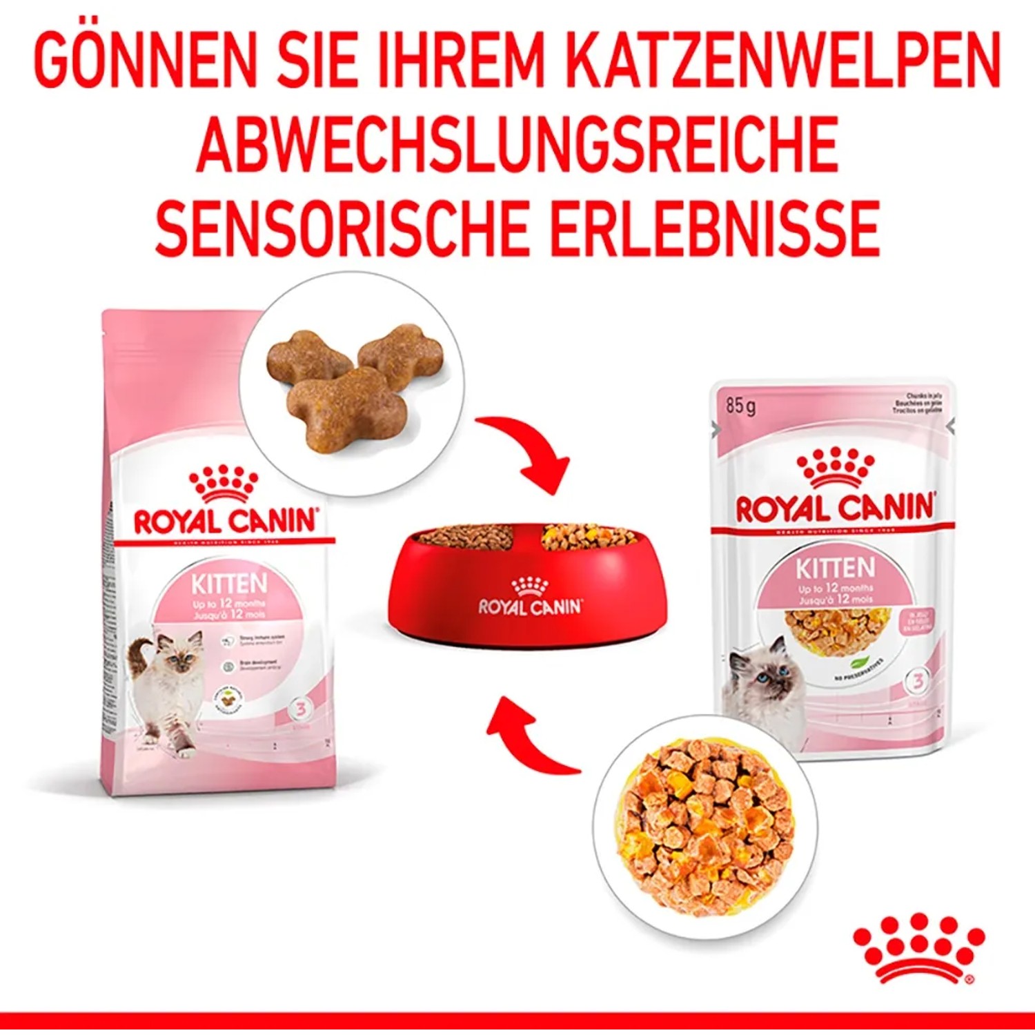 Royal Canin Kitten Nassfutter in Gelee 85 g kaufen bei OBI