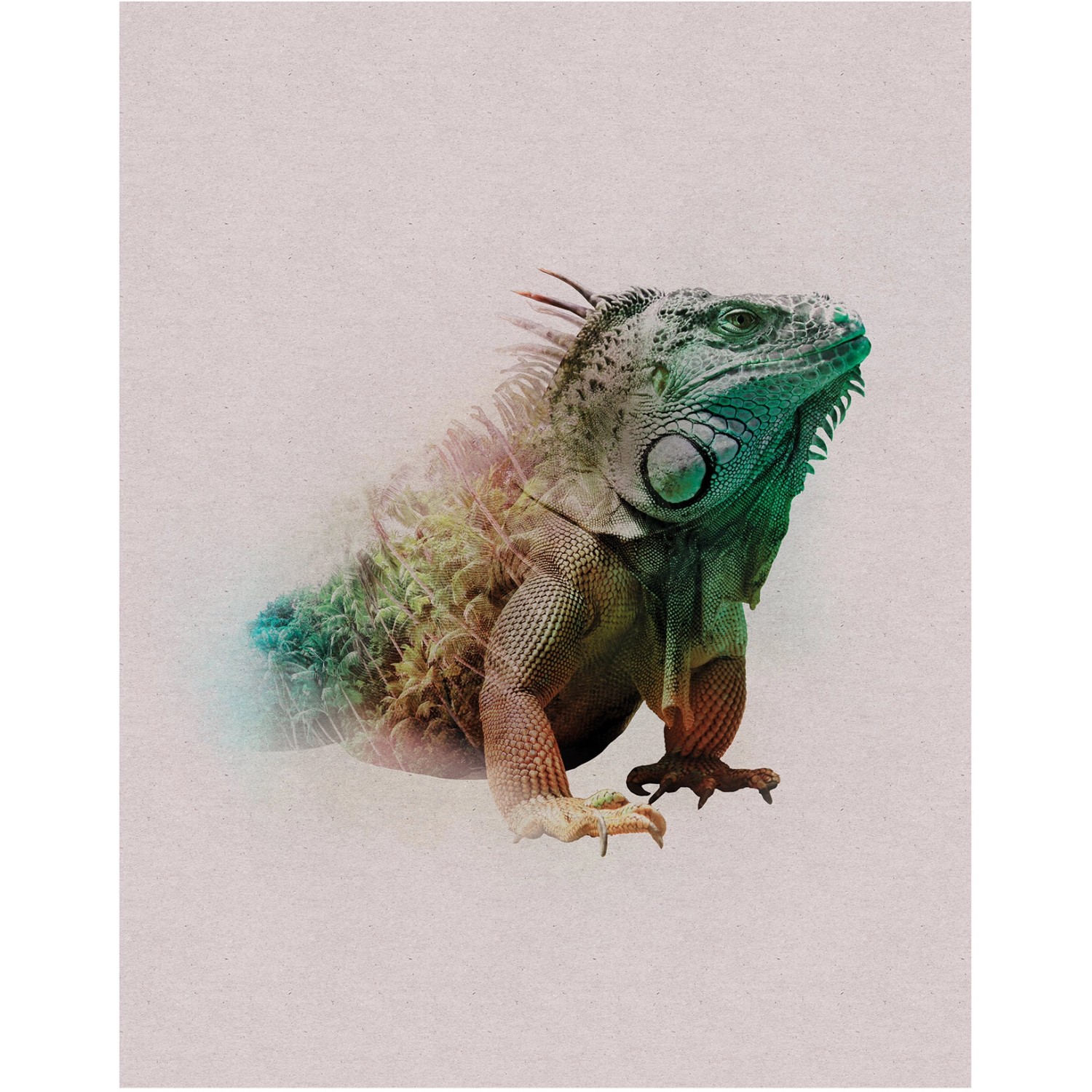 Komar Wandbild Animals Iguana 40 x 50 cm