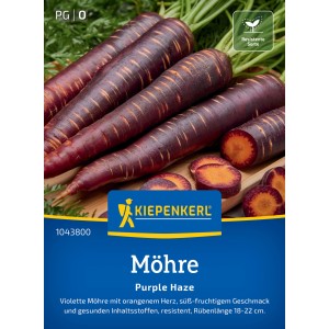 Kiepenkerl Möhre Purple Haze: Violette Karotten mit orangefarbenem Kern, Gemüsesamen für den Garten.