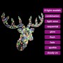 Bunter vidaXL Rentierkopf aus Acryl, 60 cm, mit LED-Beleuchtung für stimmungsvolle Weihnachtsdekoration.