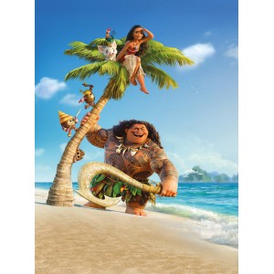 Komar Fototapete Vlies Moana und Maui (184x248cm) auf einer tropischen Insel.