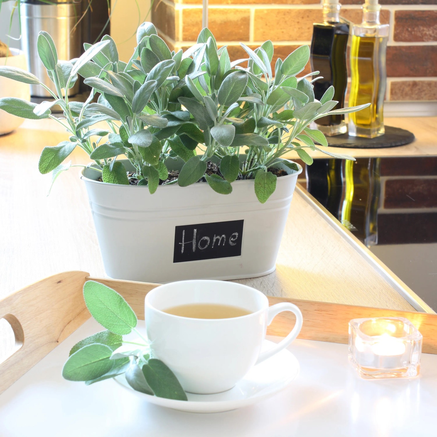 Bio-Salbei (Salvia) im Topf mit Teetasse und Kerze auf Tablett. Küchenkräuter für Tee und Küche.