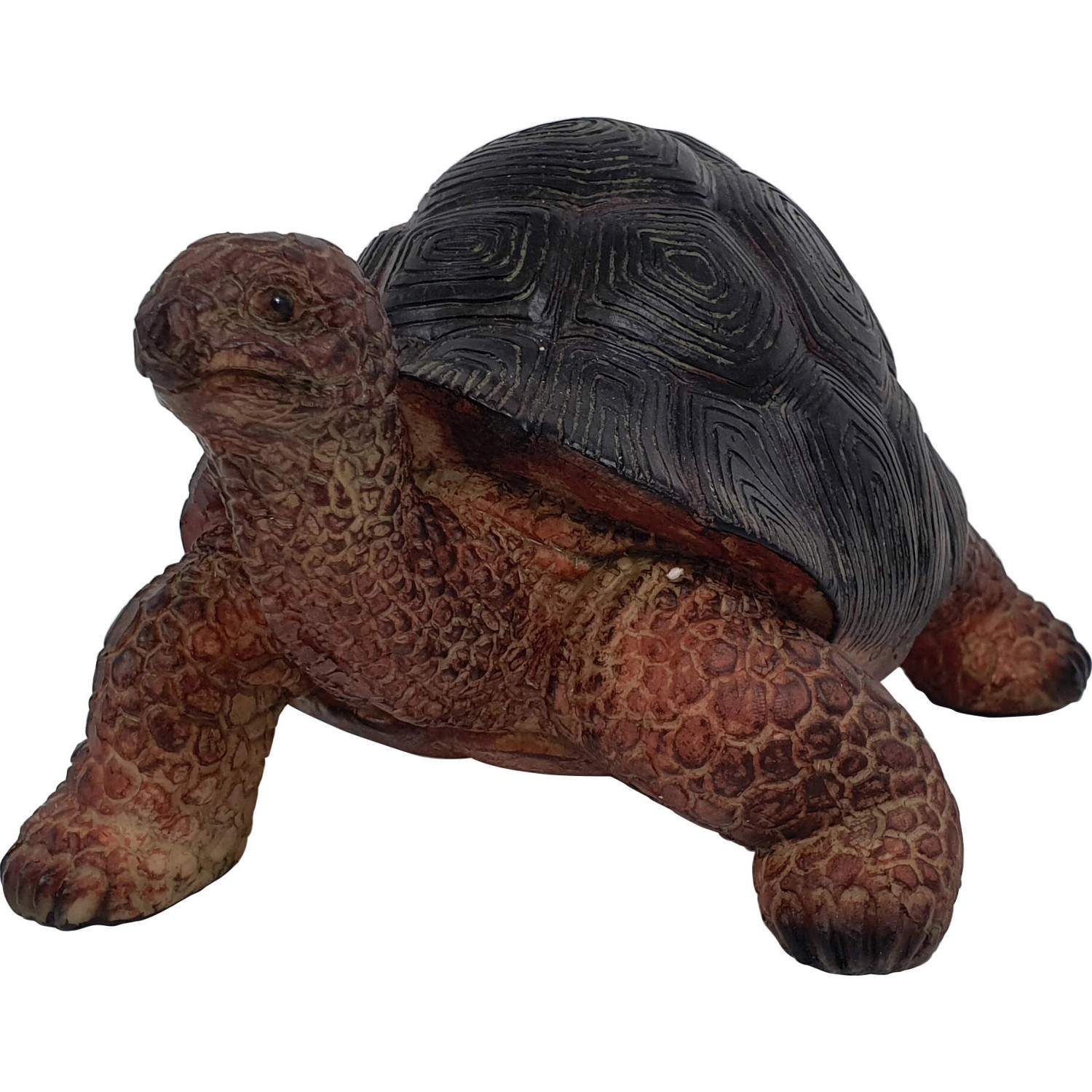 Gartenfigur Schildkröte 12 cm kaufen bei OBI