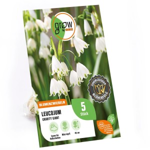 Verpackung der Sommer-Knotenblume Gravity Giant von GROW by OBI mit weißen Blüten.