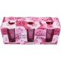 HS Candle Duftkerzen Classic, 3er Pack Wilde Rose im dekorativen Rosenkarton.