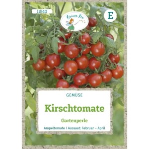 Grüne Fee Tomate Gartenperle Saatgut