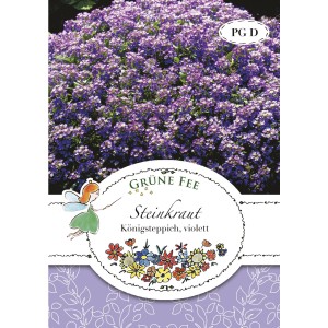 Samenpackung Grüne Fee Steinkraut Königsteppich Violett mit blühender Pflanze.