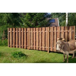 Brauner T & J Sichtschutzzaun Seeland aus Holz, 180x180 cm, im Garten.