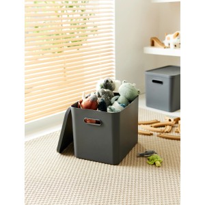 Rotho Multibox Albula für C4 Anthrazit 27 l