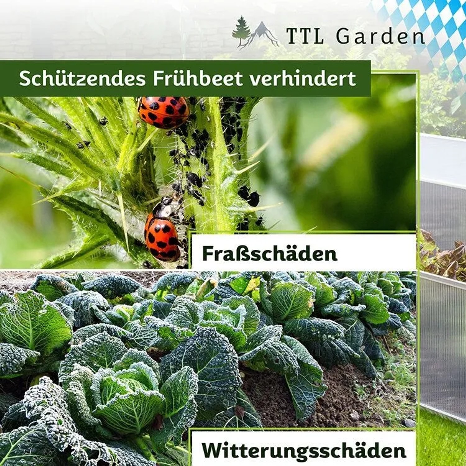 TTL Garden Frühbeet-Aufsatz schützt Gemüse vor Schädlingen und Witterungseinflüssen.
