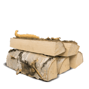 Heizfuxx Brennholz Birke 25 Cm 1 Rm 500kg