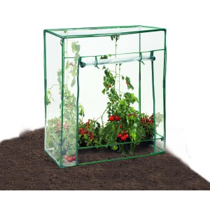 Tomaten-Gewächshaus mit Stahlrohrrahmen und Folie, bepflanzt mit Tomaten.