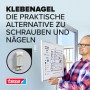 Mann hängt Evakuierungsplan mit Tesa Klebenagel an Wand. Weiße Klebenägel für Tapeten und Putz, halten bis 2 kg.
