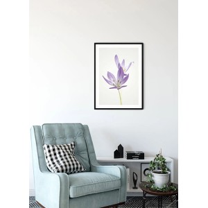 Komar Wandbild Autumn Crocus (30x40 cm) mit lila Krokusblüte im Rahmen.