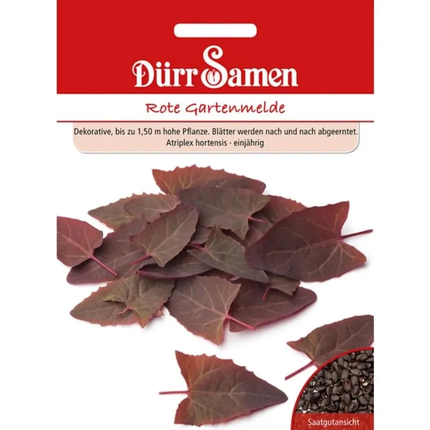Dürr Samen Rote Gartenmelde Saatgut Packung mit roten Blättern und Samenansicht.