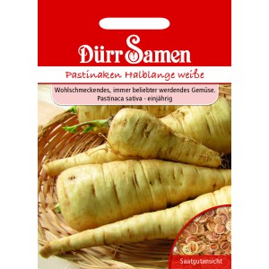 Dürr Samen Pastinaken Halblange Weiße im Saatguttütchen.
