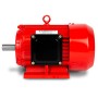 Roter EBERTH Elektromotor 400V, 3kW Leistung, 2890 U/min, für Werkzeugmaschinen und mehr.