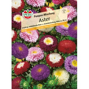Sperli Sommeraster 'Pompon Mischung' in Creme, Rosa, Lila und Purpur. Blumensamen für Beet und Schnittblumen.