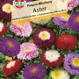 Sperli Sommeraster 'Pompon Mischung' in Creme, Rosa, Lila und Purpur. Blumensamen für Beet und Schnittblumen.
