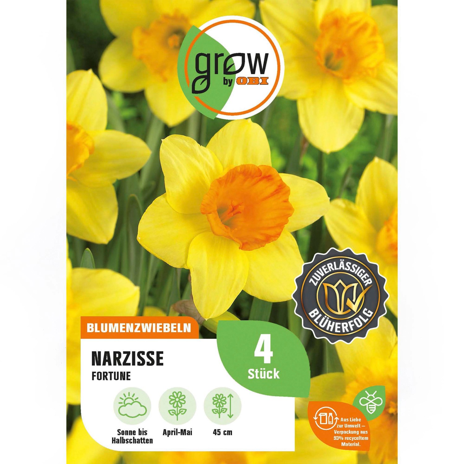 GROW by OBI Narzisse Fortune Gelb 4 Stück Narcissus large cupped Fortune günstig online kaufen