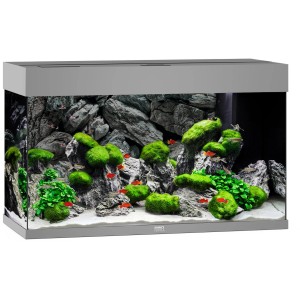 Graues Juwel Aquarium Rio LED 125 l Komplettset mit Fischen, Pflanzen und Steinen.