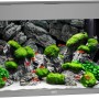 Graues Juwel Aquarium Rio LED 125 l Komplettset mit Fischen, Pflanzen und Steinen.
