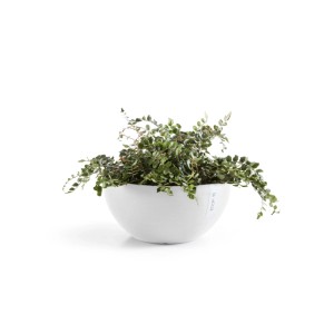 Weißer Ecopots Pflanztopf Brussels, 30 cm, mit grüner Pflanze.