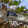 Lutec LED-Solarleuchte Arrow mit Bewegungsmelder an Pergola mit Weinreben.