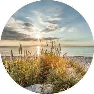 Glasbild Wilder Strand, 20x20 cm: Sonnenaufgang am Meer mit Strandhafer im Vordergrund.