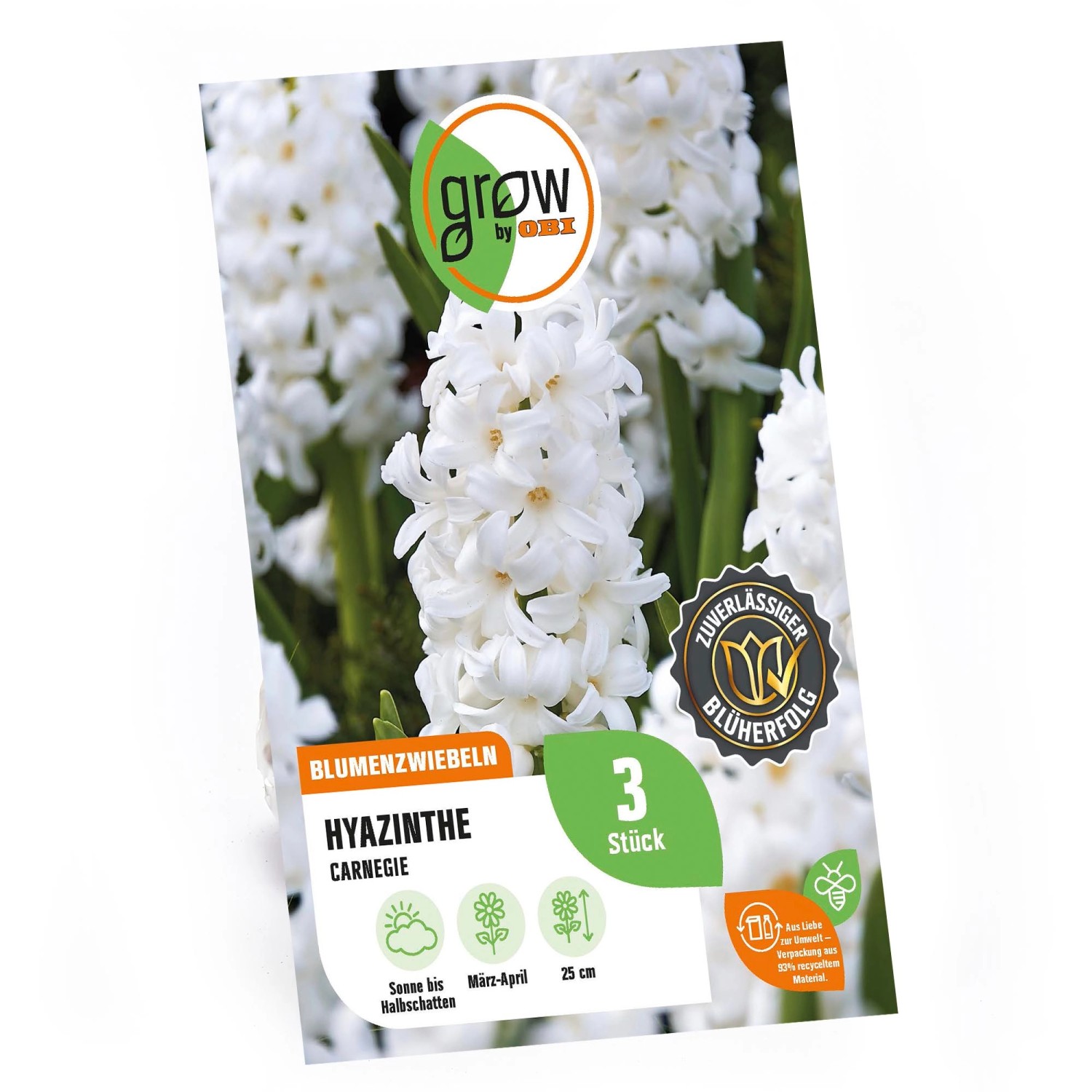 GROW by OBI Hyazinthe Carnegie Weiß 3 Stück Hyacinthus orientalis Carnegie günstig online kaufen