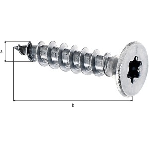 Holzschraube Medi-Fix 5x25 mm, Edelstahl, 16 Stück, mit Innen-Sechsrundantrieb.