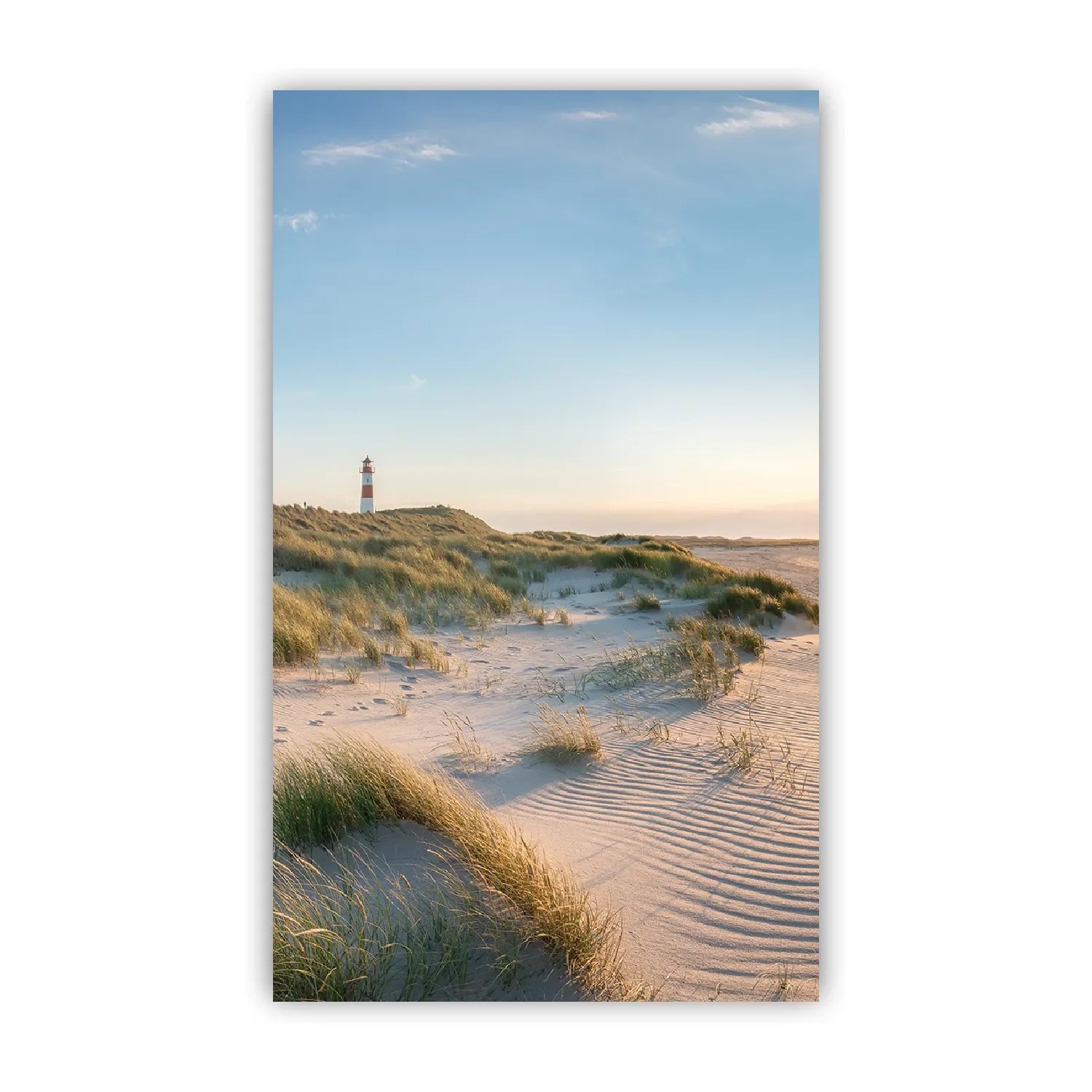 Walllux Duschrückwand Nordsee Alu-Verbund 3 mm 125 x 210 cm