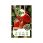 GROW by OBI Tomaten Rio Grande Samen: Rote, längliche Tomaten an der Pflanze.