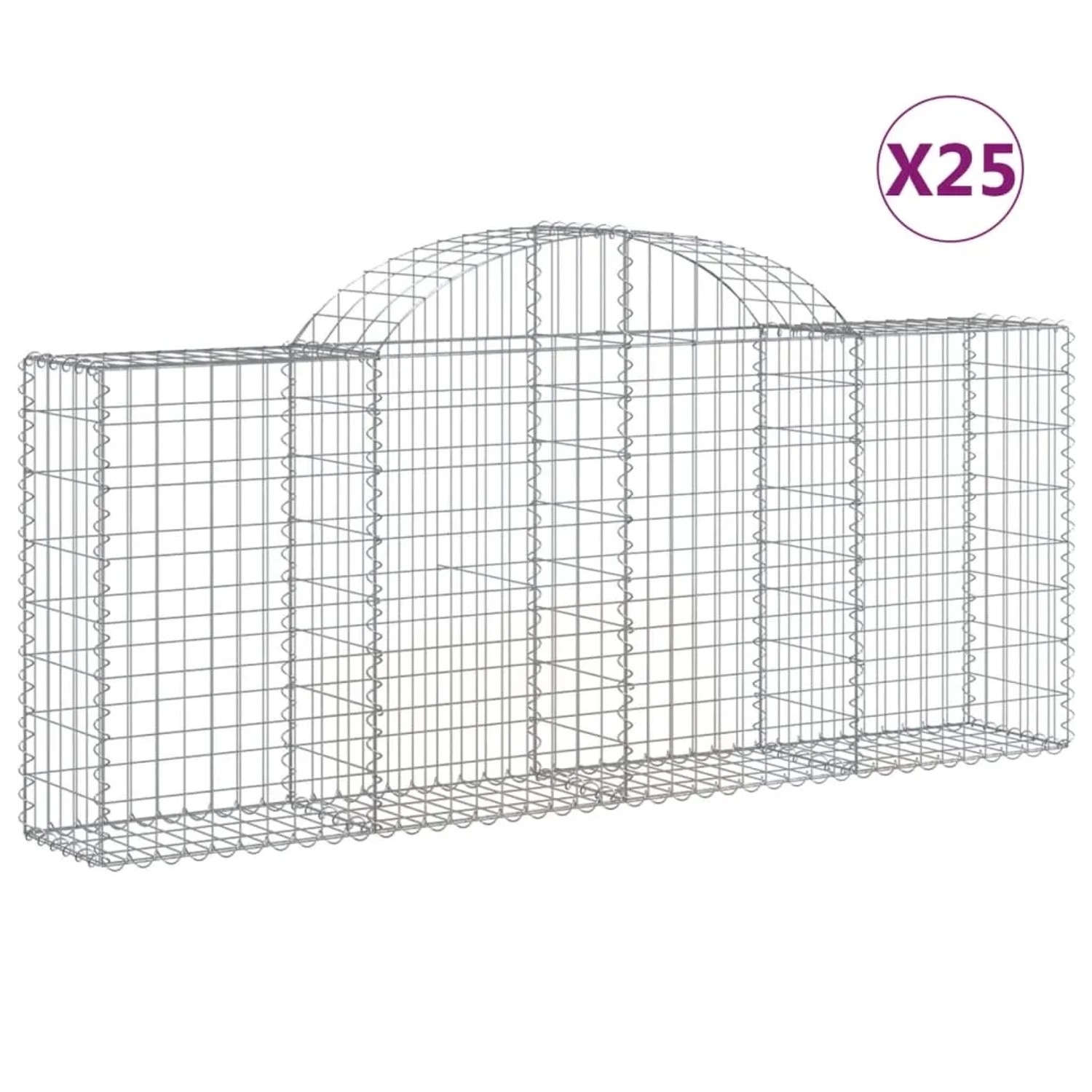 Set aus 25 vidaXL Gabionen mit Hochbogen, 200x30x80/100cm, aus verzinktem Eisen für Hochbeete.