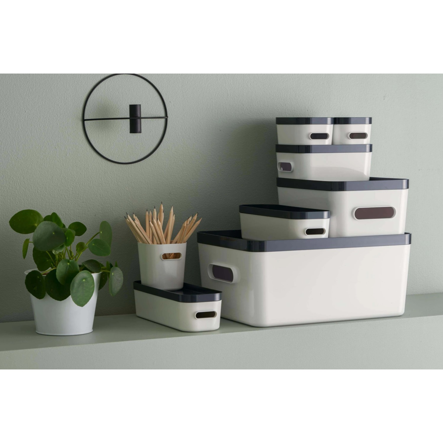 SmartStore Aufbewahrungsbox Deckel Compact L Grau kaufen bei OBI